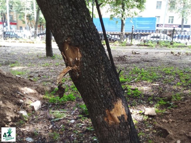 🚜🌳🪓  Несколько лет администрация Нижегородского района безуспешно пыталась начать благоустройство в..