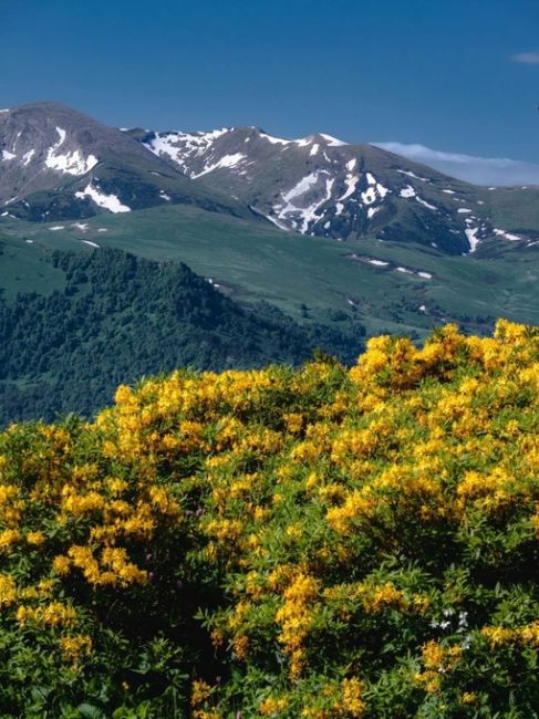 Хребет Бамбаки.  Bambaki mountain range, Krasnodar region, Russia.  Определенно, одно из самых красивых мест Краснодарского края,..