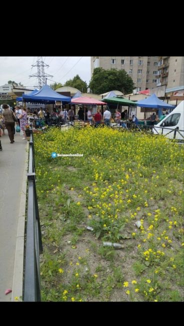 От подписчика:
"На Днепровском рынке вдоль дороги вообще не пройти, опять незаконное палатки и точки, всю..