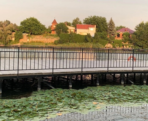 🏖Семикаракорская набережная. Здесь можно и полюбоваться кувшинками, и покататься на катамаране...