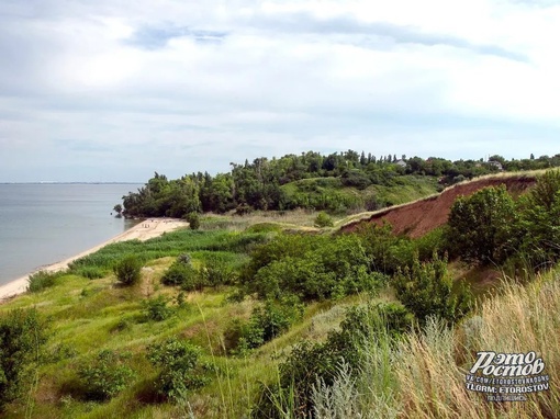 🌿 Побережье Цимлянского моря..