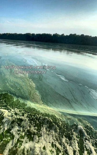 🗣️Вода на Горьковском море стала изумрудной. Если вы собираетесь туда — имейте в виду.💚  Бывали там..