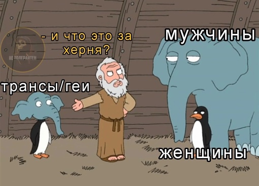 Смешные и голые в Питере  Водитель пропустил барышню, которая переходила дорогу в неположенном месте — в..