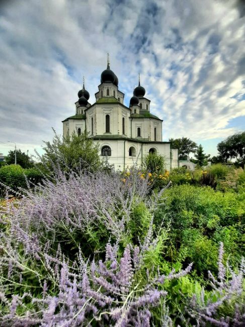 Летние уютные пейзажи в станице Старочеркасской 🙌 Давно там..