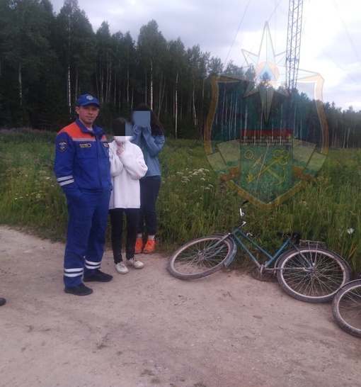 В лесу нашли заблудившихся детей 
Несовершеннолетние на велосипедах направлялись в деревню Великое Село..