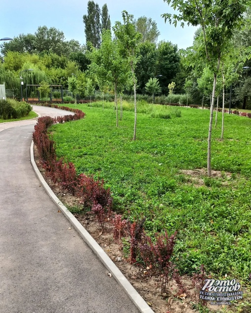 🌺🌳 Новый экологический парк "Первая миля". Спокойное, красивое пространство для прогулок и езды на..