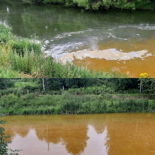 А это река Ижора в Колпино, у перекрестка Загородной улицы с переулком Саперным.👀 
Бригада «Водоканала»..