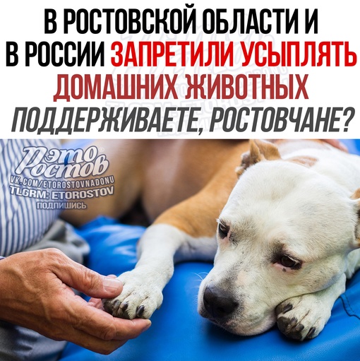 ⚡🐈 В Ростовской области и по всей России запретили усыплять домашних животных, сообщили в Госдуме. Такие..