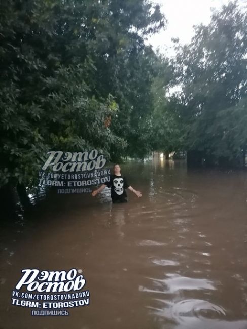 🐸Территорию 103 лицея сегодня немного..