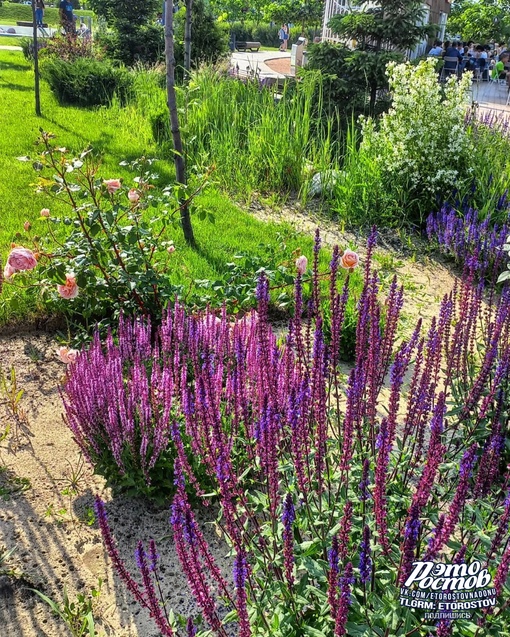 🌺🌳 Красивый и уютный Мега парк.
Аксайский проспект,..