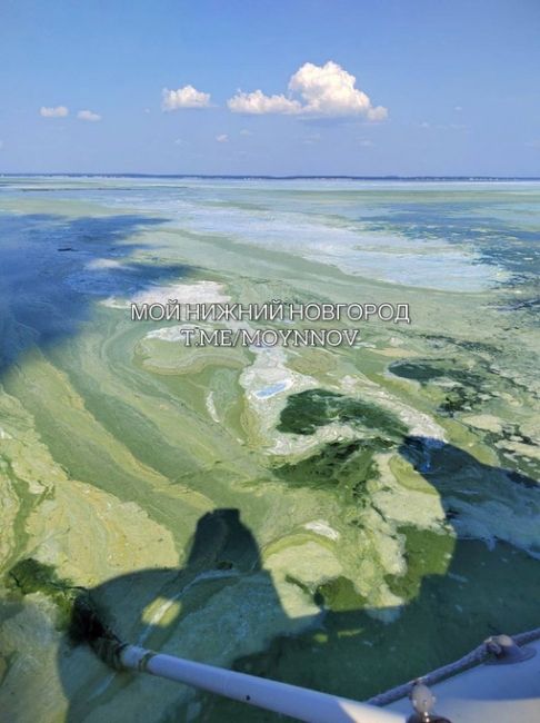 🗣️Вода на Горьковском море стала изумрудной. Если вы собираетесь туда — имейте в виду.💚  Бывали там..