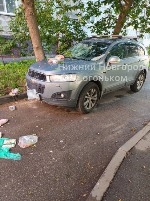 «Вышли из дома, а тут такой сюрприз на авто» — пишет житель Ванеева
..