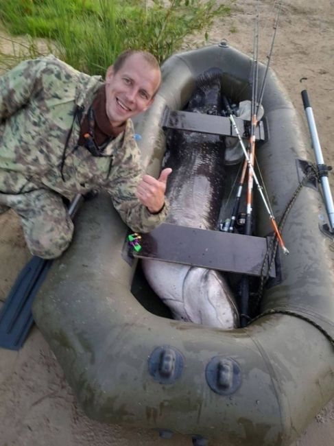 🗣Вот такие монстры водяятся в Оке. Нижегородский рыбак поделился фотографией улова. Вес добычи 65,2 кг, рост..