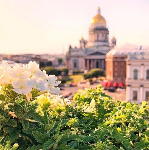 Прекрасный летний вид..