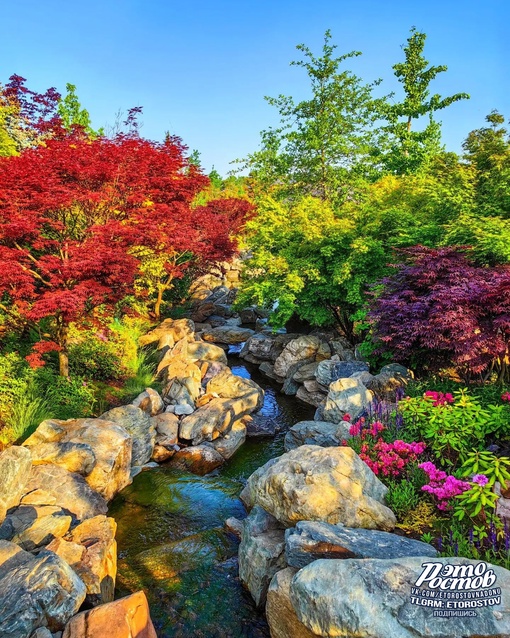 🌳🌺 Японский сад в парке Галицкого в Краснодаре. До чего же красиво!..