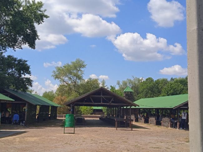 🌳 Ст. Старочеркасская. Чистый пляж, низкие цены в кафе, уличных развлечениях. Отличное место для отдыха с..