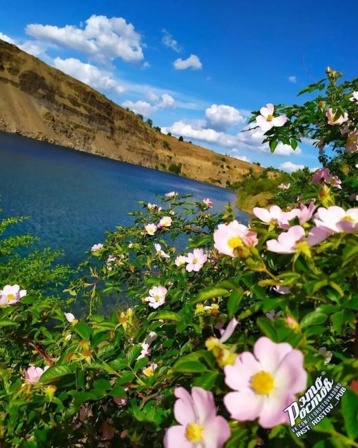 🌼 Карьер в Каменском районе. До чего же..