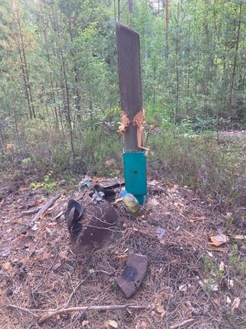 Под Выборгом неизвестный снес деревянные кресты, установленные в память о погибших в Зимней войне 1939–1940..