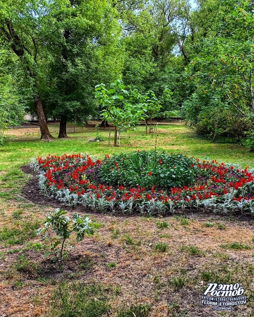 🌳🌺 Парк имени Октября на ул...