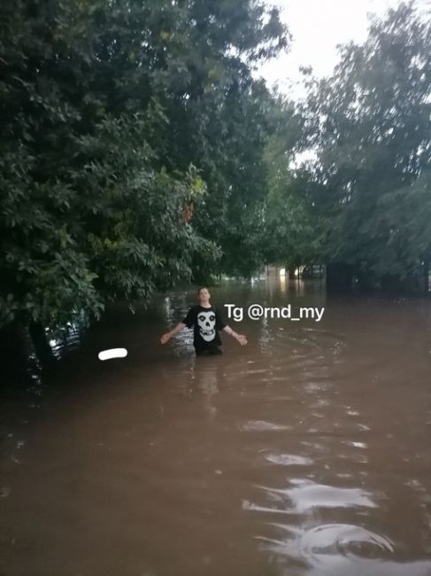 Наши читатели решили повторить знаменитый мем, но в дождевой воде..