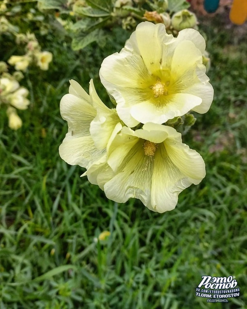 🌳🌺 Парк имени Октября на ул...