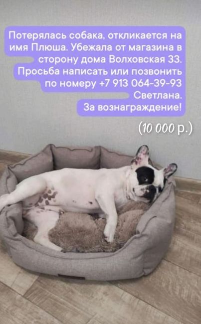 Потерялся французский..