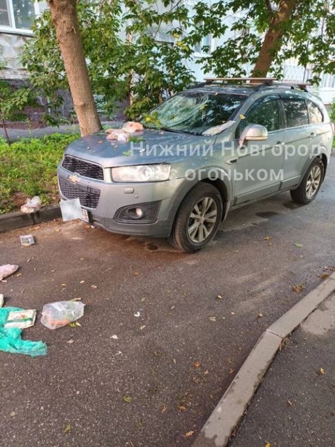 🗣️ «Вышли из дома, а тут такой сюрприз на авто» — пишет житель..