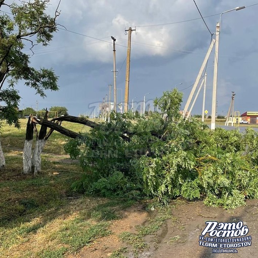 🌳⚡ Последствия вчерашнего урагана под Таганрогом, в селе Покровcкоe. В парках повалило деревья, на улице..