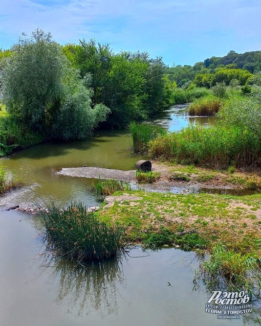 🌳Парк Октября на..