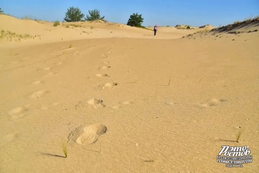 🏝Донская пустыня - уникальный природный объект Верхнедонского района  🏜  Представляет собой опустыненый..