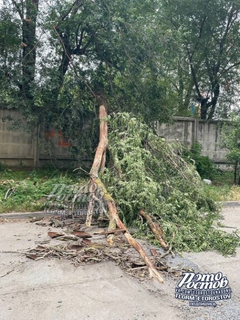 🌳⚠ «Ул Мыльникова, 1А. Проезд затруднен. Висят оборванные провода под напряжением. Может службы увидят..