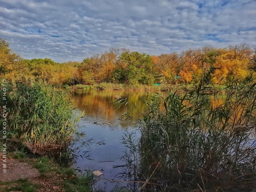 🍂 Осенние мотивы... а скоро осень. Кто-то её ждёт?  Фото: Марина..