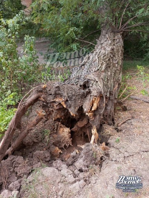 🌳⚠ «Сухое дерево прилегло на дом в Керченском переулке, 107 еще 26 июня, и до сих пор его не распилили и не..