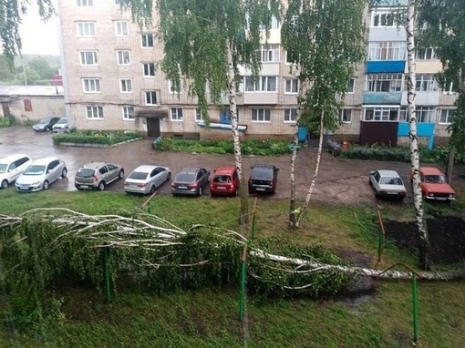 Арзамас пострадал от ночной непогоды  Из-за сильного ветра и дождя в городе упало примерно 30 деревьев. Помимо..