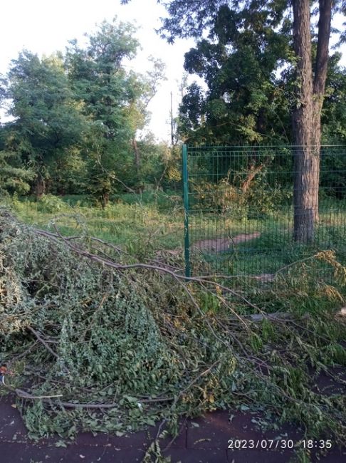 В парке Чуковского коммунальщики использовали ветки деревьев, чтобы заделать дыру в заборе и..