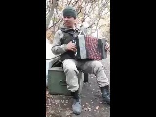 Самое милое за сегодня: В России родились двое редких белых львят 🤍🦁  Всего в мире их существует 300 особей,..