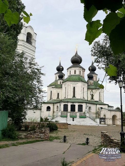 Лето в станице Старочеркасской 💚  Фото: Наталья..