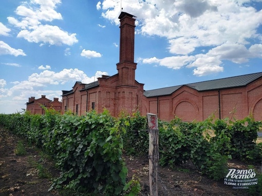 🍇🍷 Донская винодельня в Багаевском районе. Очень душевное, гостеприимное место. Красиво, вкусно,..