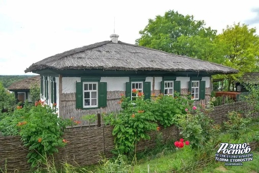 🌳 Лето в хуторе Старозолотовском. 
Константиновский район  Фото: Дмитрий..