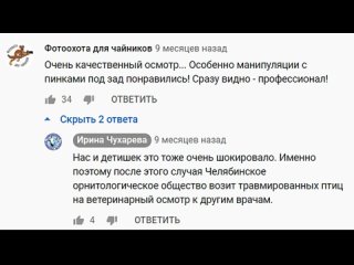 Охотинспектор Минэкологии и егеря спасли раненного лебедя недалеко от поселка Новый Урал Варненского..