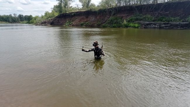 Самарские палеонтологи с риском для жизни подняли со дна странные кости и зубы  Находки ещё предстоит..