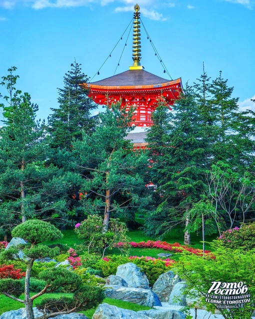 🌳🌺 Японский сад в парке Галицкого в Краснодаре. До чего же красиво!..