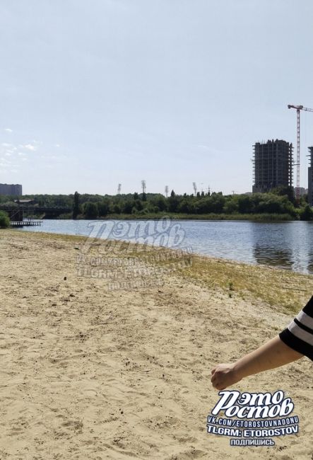 На Северном водохранилище ни души. Пляж закрыли после того, как в воде обнаружили опасные бактерии..