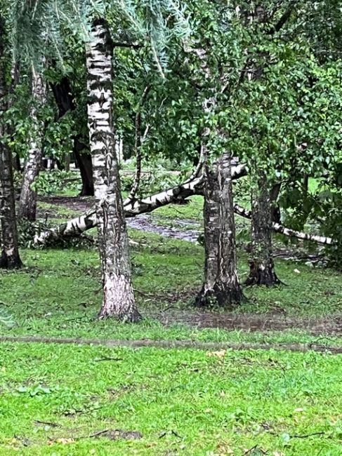 Не пишу обычно в пабликах ничего и не комментирую, но задело.
Сегодня в 13:40 мы с мужем и годовалым ребенком..