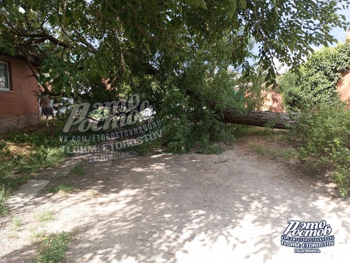 🌳⚠ «Сухое дерево прилегло на дом в Керченском переулке, 107 еще 26 июня, и до сих пор его не распилили и не..