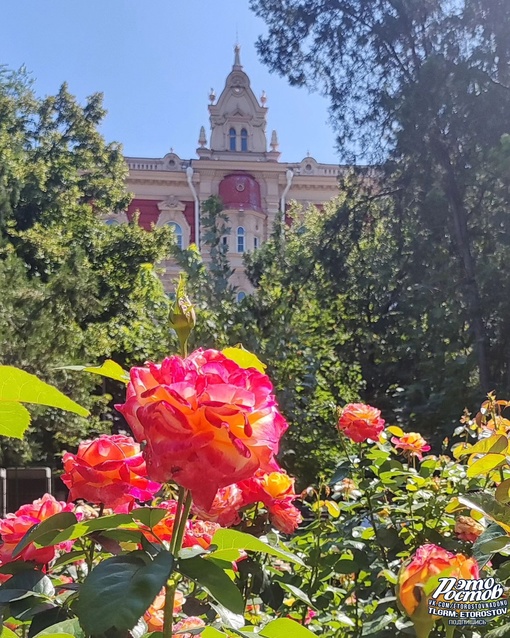 Парк Горького в Ростове..