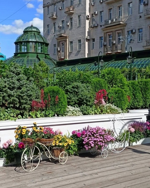 💐Тверская площадь утопает в цветах.  Фото:..