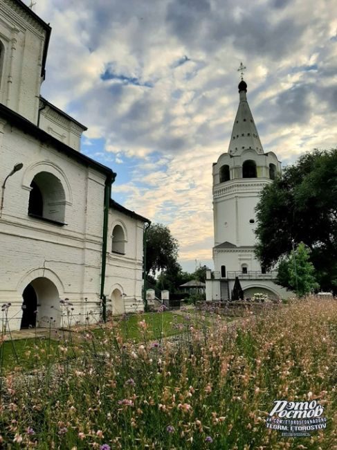 Лето в станице Старочеркасской 💚  Фото: Наталья..