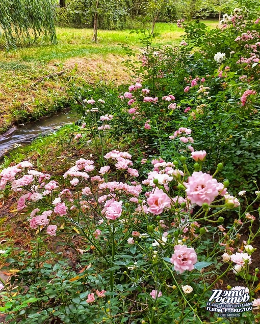 🌳🌺 Парк имени Октября на ул...