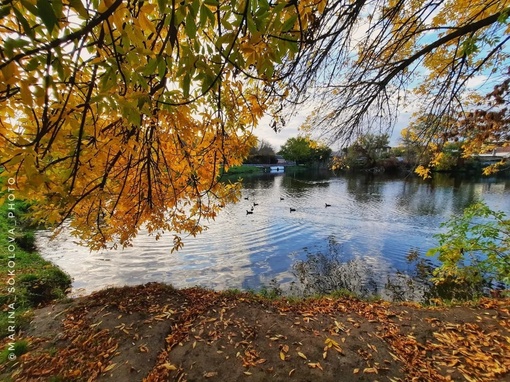 🍂 Осенние мотивы... а скоро осень. Кто-то её ждёт?  Фото: Марина..